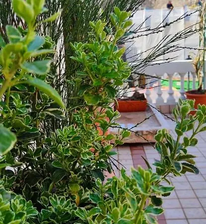 Residenza Porta Brescia Пескьера-дель-Гарда