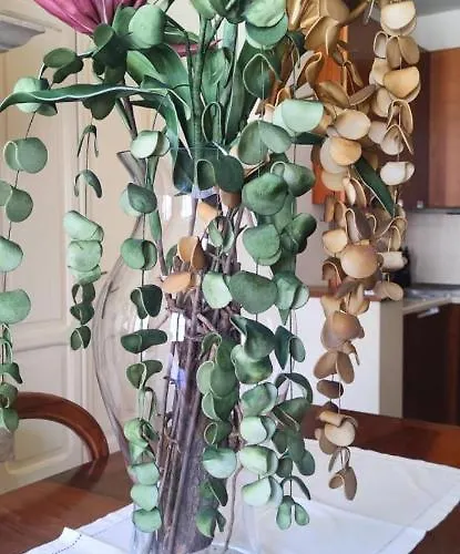 Residenza Porta Brescia Casa de Férias Peschiera del Garda